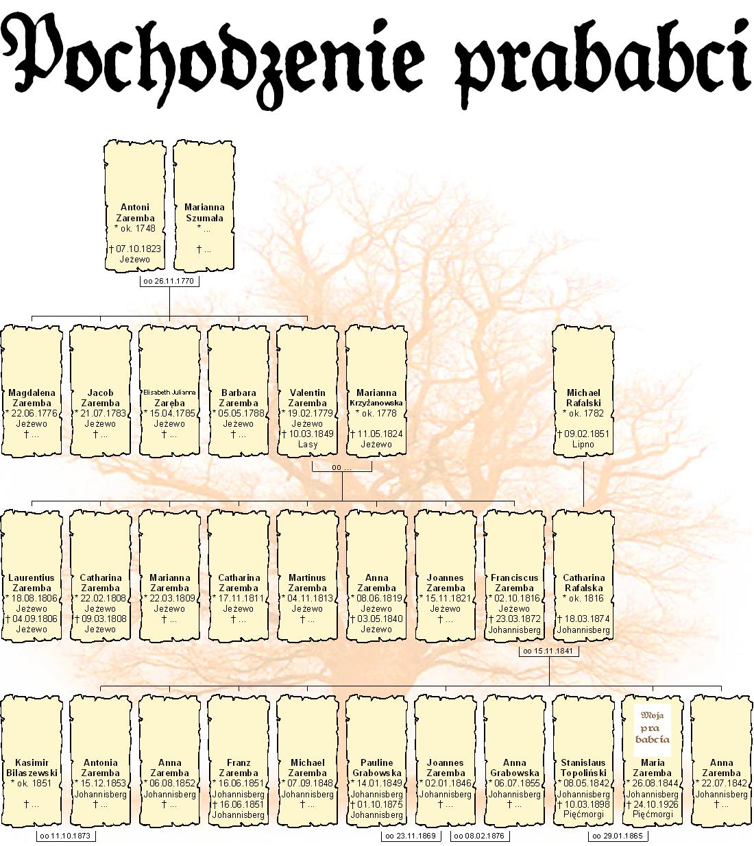 Pochodzenie prababci